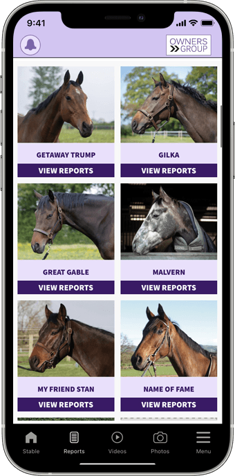 Screenshot of the app showing the horse reports pages