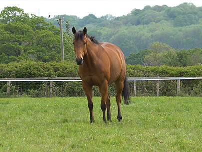 Planetaria at EquiPrep