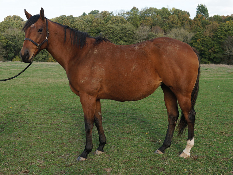 Owners Group Buy A Share