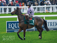 Sound Investment under Sam Twiston-Davies in the Paddy Power Gold Cup at Cheltenham