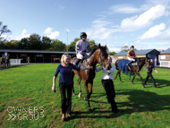 Sound Investment after his run at Newton Abbot - 10 October 2014