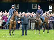 Rainbow Rebel (left) with Mark Johnston and Spirit Of Wedza - 3 June 2015