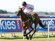 Rainbow Rebel winning at Carlisle - 17 August 2016