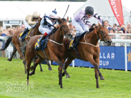 Rainbow Rebel winning under Richard Kingscote at Chester - 10 September 2016