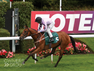 Rainbow Rebel winning under P J McDonald at Hamilton - 24 September 2016