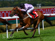 Rainbow Rebel at Goodwood - 31 July 2018