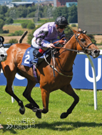 Rainbow Rebel at Pontefract - 24 June 2018