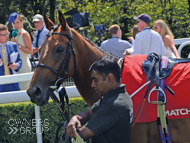 Rainbow Rebel at Goodwood - 31 July 2018