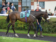 Spirit Of Wedza at Carlisle - 13 June 2016