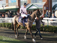 Spirit Of Wedza at Wolverhampton - 15 January 2020