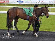 Spirit Of Wedza at Chepstow - 22 June 2015