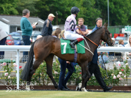 Spirit Of Wedza at Chepstow - 22 June 2015