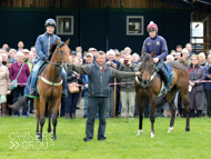 Spirit Of Wedza (right) with Mark Johnston and Rainbow Rebel - 3 June 2015