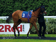 Yulong Xiongba at Kempton - 5 August 2015