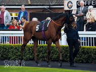 Yulong Xiongba at Lingfield - 8 May 2015