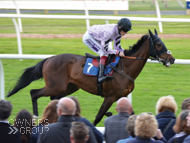 Tercel under Sam Twiston-Davies at Newton Abbot - 27 May 2015