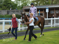 Tercel after his win at Newton Abbot - 27 May 2015
