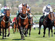 Champagne Express - Cheltenham-18 April 2018