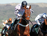 Champagne Express - Cheltenham-18 April 2018