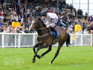 Bagad Bihoue winning at Newton Abbot - 1 July 2016