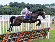 Bagad Bihoue winning at Newton Abbot under Sam Twiston-Davies - 17 July 2016