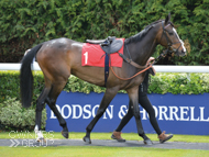 Bagad Bihoue at Kempton - 1 May 2017