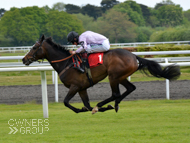 Bagad Bihoue under Sam Twiston-Davies at Kempton - 1 May 2017