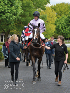 Bagad Bihoue under Sam Twiston-Davies at Kempton - 1 May 2017