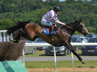 Bagad Bihoue under Sam Twiston-Davies at Newton Abbot - 16 June 2017