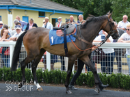 Bagad Bihoue at Newton Abbot - 23 June 2017