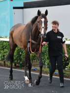 Bagad Bihoue at Market Rasen - 21 July 2018