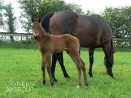 Baralinka and her Poets Voice Colt - 19 May 2016