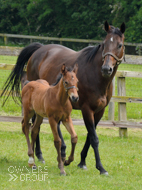 Baralinka and her Poets Voice Colt - 7 June 2016