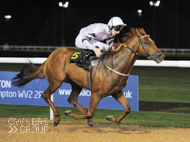 Rock Steady winning under Adam Kirby at Wolverhampton - 27 October 2015