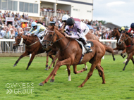 Rock Steady winning at Windsor - 25 July 2016