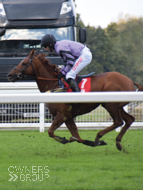 Rock Steady at Ascot - 3 November 2018