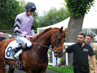 Rock Steady under William Twiston-Davies at Windsor - 29 August 2015