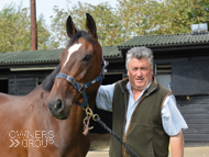 Nexius and Paul Nicholls - 11 September 2015