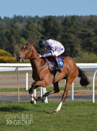 Moabit winning at Exeter - 3 May 2016