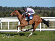 Moabit winning at Exeter - 3 May 2016