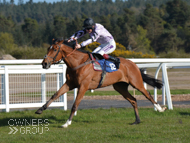 Moabit winning at Exeter - 3 May 2016