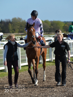 Moabit winning at Exeter - 3 May 2016