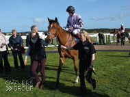 Moabit winning at Exeter - 3 May 2016