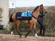 Moabit at Wincanton - 8 March 2018