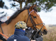 Moabit at Wincanton - 8 March 2018