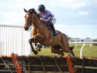 Moabit at Wincanton - 8 March 2018