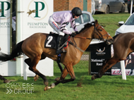 Moabit at Plumpton - 10 February 2020