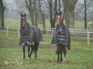 Moabit (right) and Burgundy (Elite Racing Club) - 18 December 2020