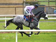 Alcala winning under Sam Twiston-Davies at Newton Abbot - 5 June 2017