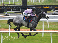 Alcala winning under Sam Twiston-Davies at Newton Abbot - 5 June 2017